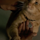 Goose the cat meeting Nick Fury for the first time.